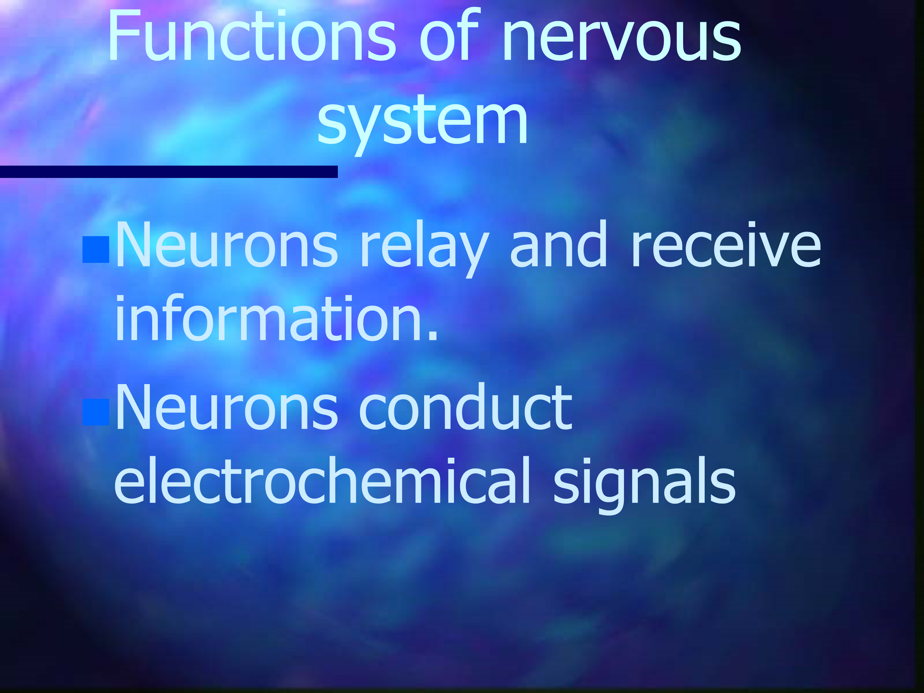 No preview available